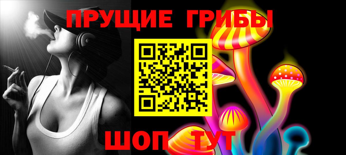 Псилоцибиновые грибы Magic Shrooms  Галлюциногенные грибы Psilocybine cubensis  Вход с VPN  Осинники 